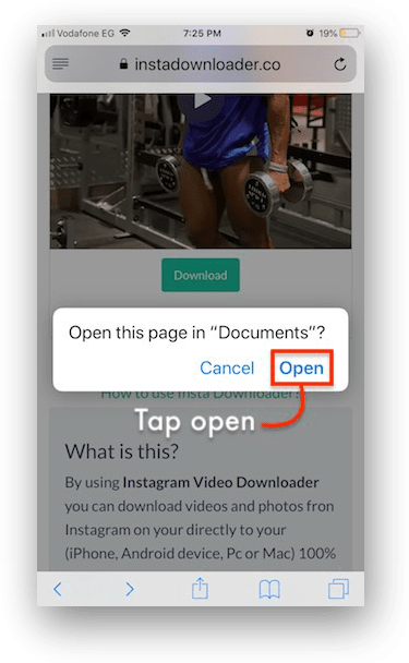 How To Download Instagram Videos On Iphone Instadownloader
