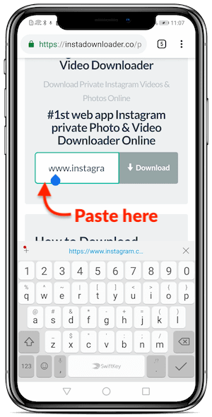 download instagram video link from private account